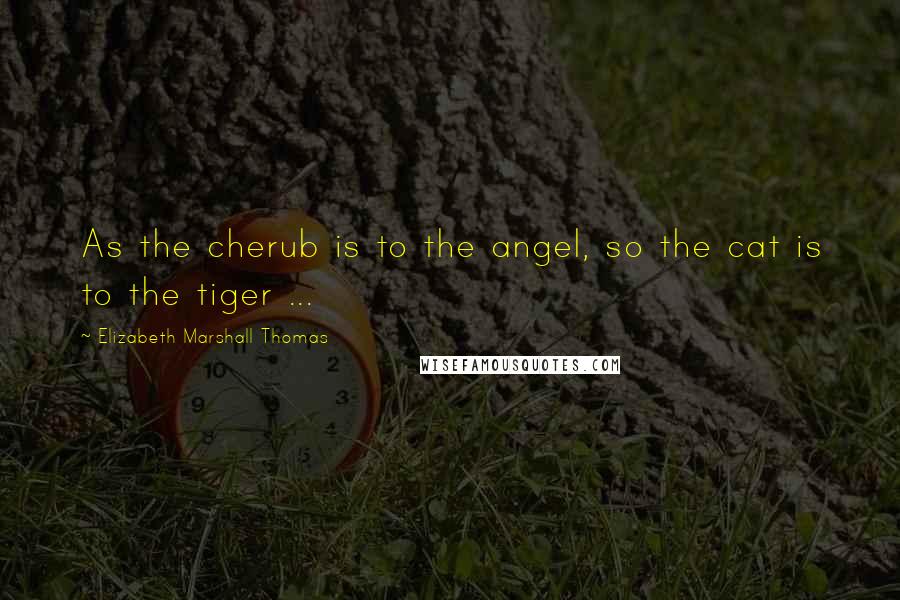 Elizabeth Marshall Thomas quotes: As the cherub is to the angel, so the cat is to the tiger ... Elizabeth Marshall Thomas quotes: As the cherub is to the angel, so the cat is to the tiger ...