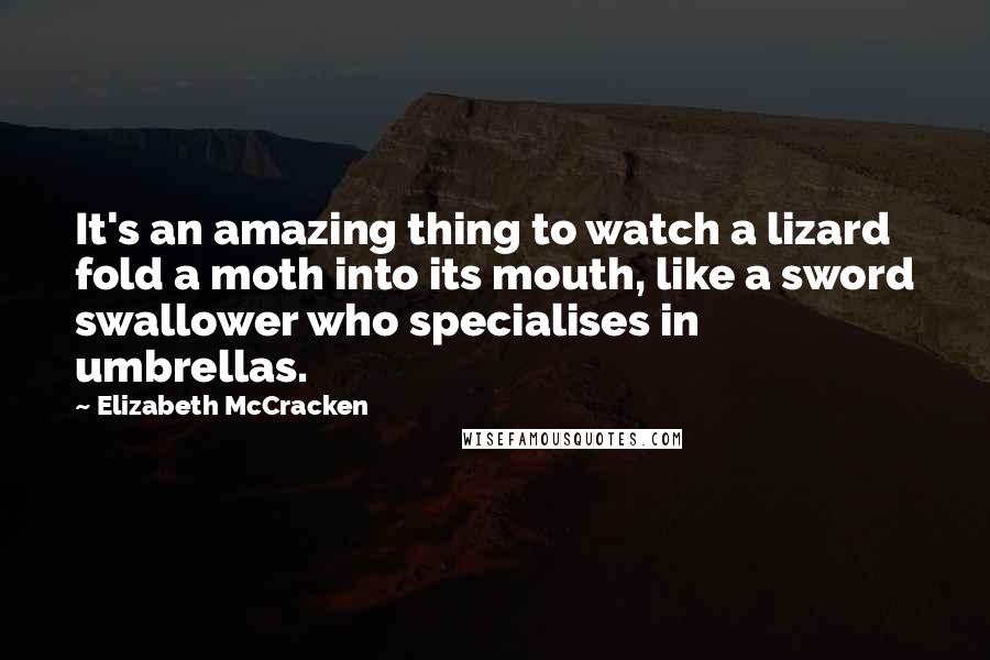 Elizabeth McCracken quotes: It's an amazing thing to watch a lizard fold a moth into its mouth, like a sword swallower who specialises in umbrellas.