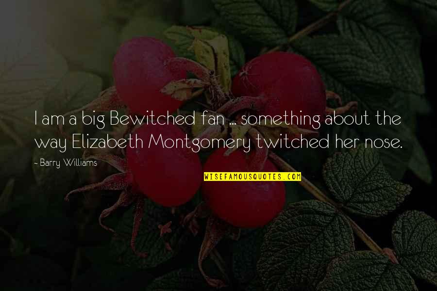 Elizabeth Montgomery Quotes By Barry Williams: I am a big Bewitched fan ... something