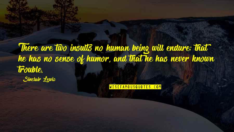 Elizabeth Stone Child Quote Quotes By Sinclair Lewis: There are two insults no human being will