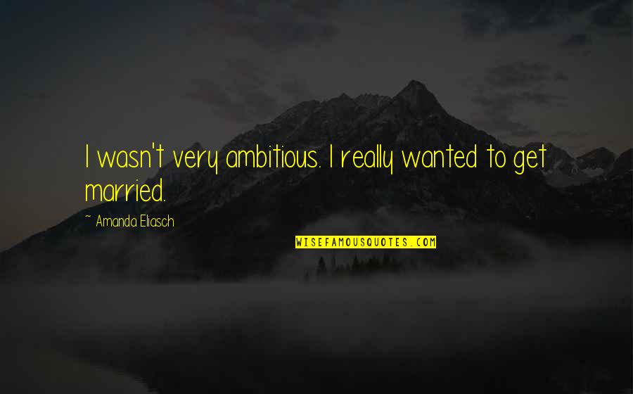 Elizabeth Stone Quotes By Amanda Eliasch: I wasn't very ambitious. I really wanted to