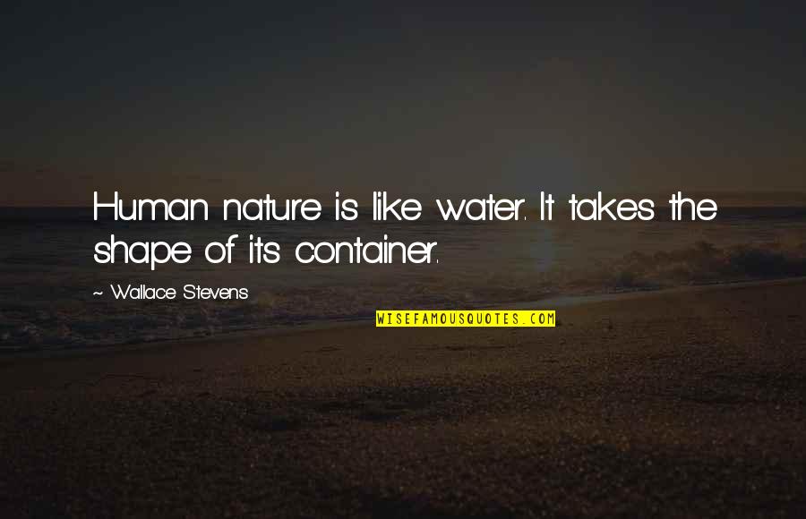 Elizabeth Stone Quotes By Wallace Stevens: Human nature is like water. It takes the