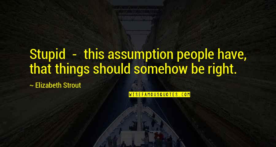 Elizabeth Strout Quotes By Elizabeth Strout: Stupid - this assumption people have, that things