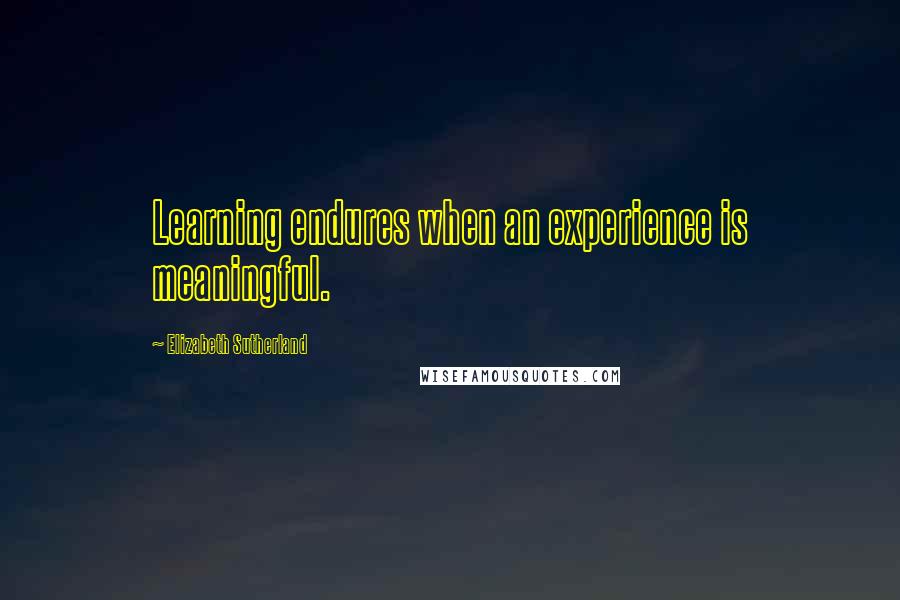 Elizabeth Sutherland quotes: Learning endures when an experience is meaningful.