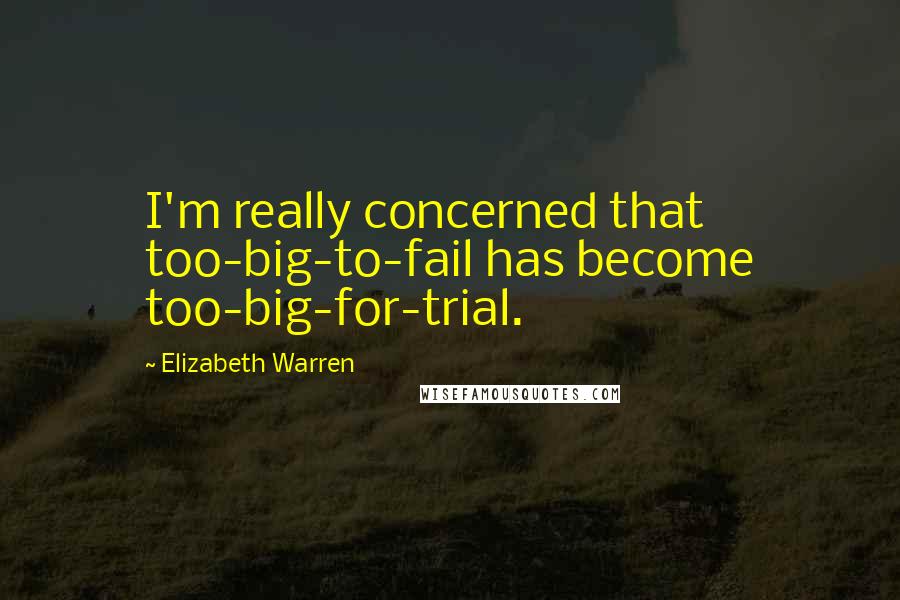 Elizabeth Warren quotes: I'm really concerned that too-big-to-fail has become too-big-for-trial.