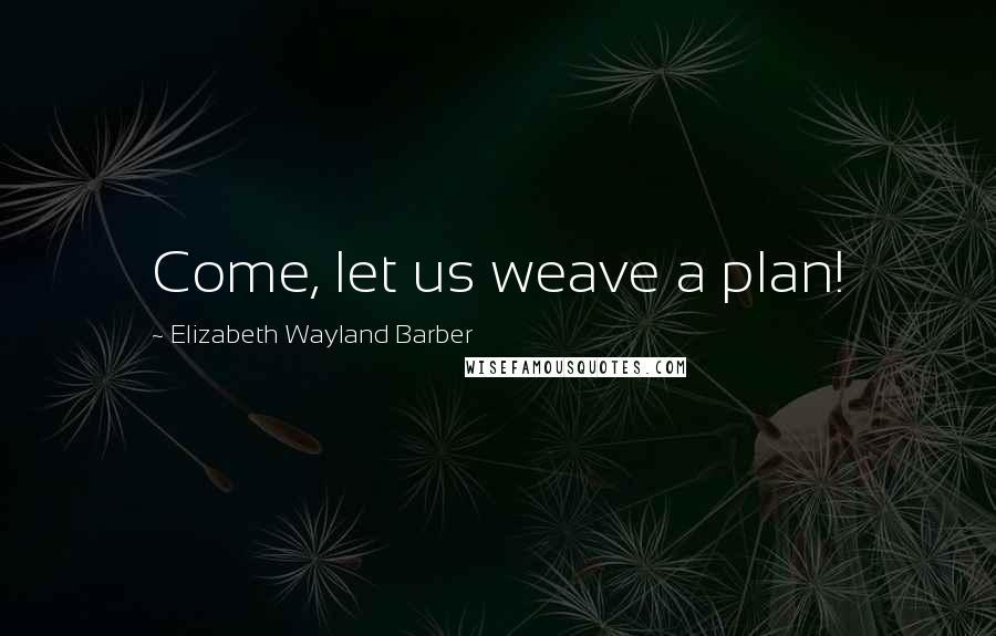 Elizabeth Wayland Barber quotes: Come, let us weave a plan!