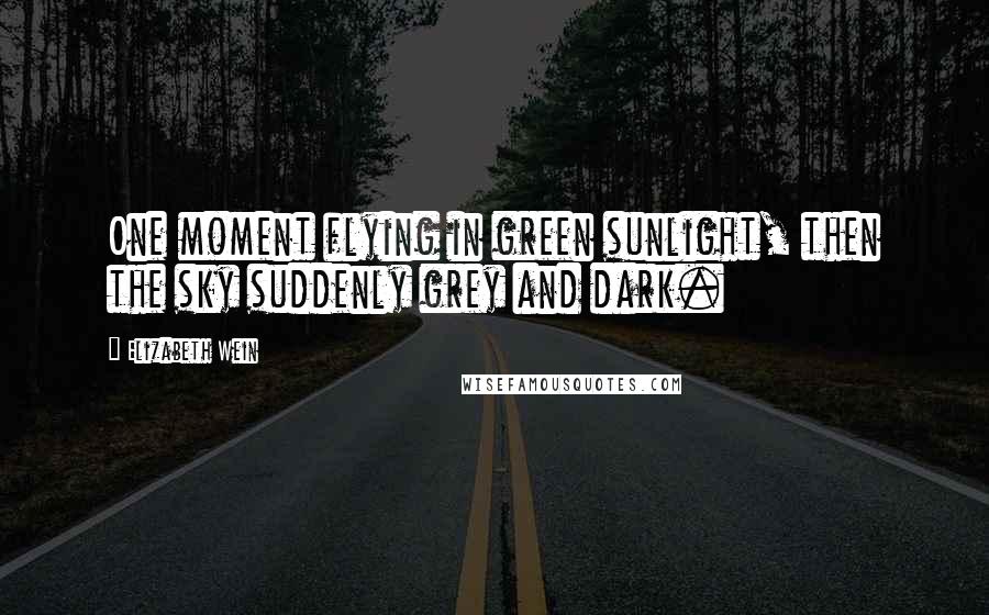 Elizabeth Wein quotes: One moment flying in green sunlight, then the sky suddenly grey and dark.