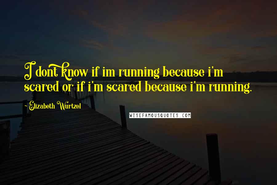 Elizabeth Wurtzel quotes: I dont know if im running because i'm scared or if i'm scared because i'm running.