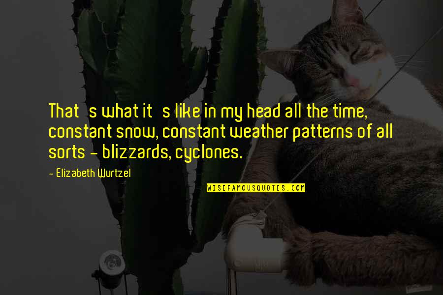 Elizabeth Wurtzel Quotes By Elizabeth Wurtzel: That's what it's like in my head all