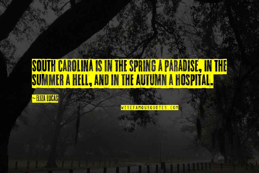 Eliza's Quotes By Eliza Lucas: South Carolina is in the spring a paradise,