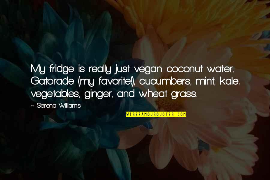 Elizeth Shue Quotes By Serena Williams: My fridge is really just vegan: coconut water, Elizeth Shue Quotes By Serena Williams: My fridge is really just vegan: coconut water,