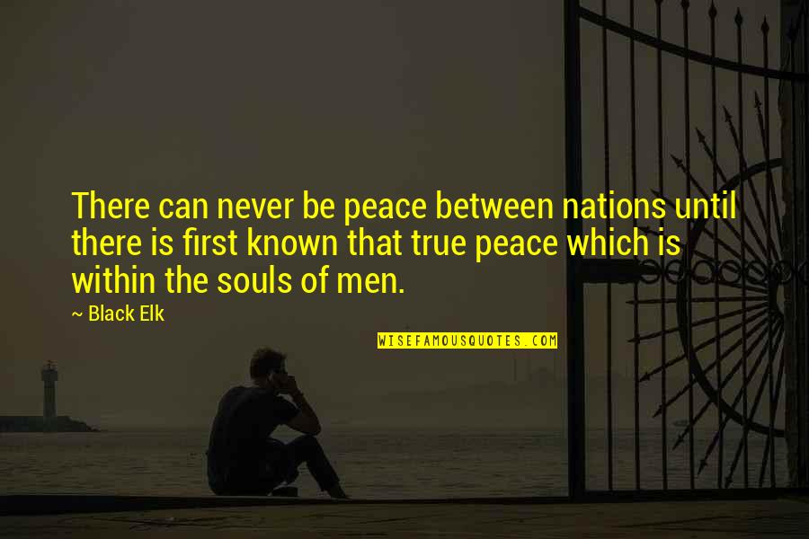 Elk Peace Quotes By Black Elk: There can never be peace between nations until