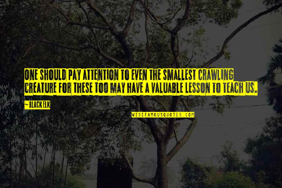 Elk Quotes By Black Elk: One should pay attention to even the smallest Elk Quotes By Black Elk: One should pay attention to even the smallest