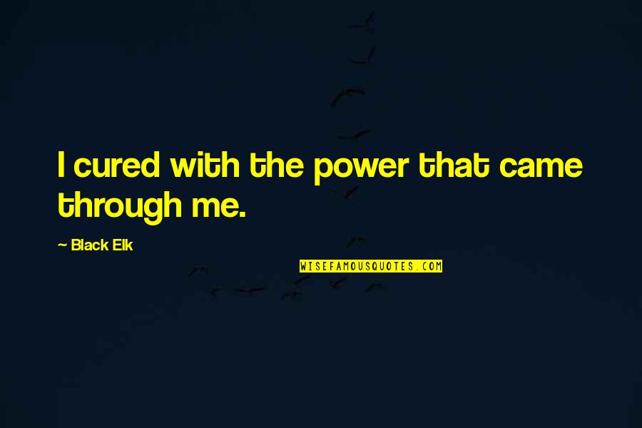 Elk Quotes By Black Elk: I cured with the power that came through Elk Quotes By Black Elk: I cured with the power that came through