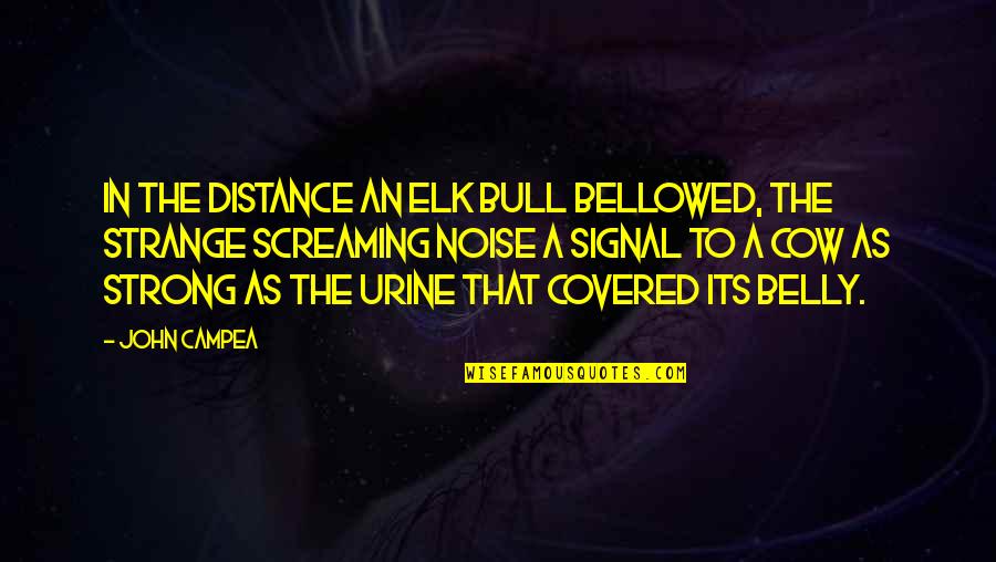 Elk Quotes By John Campea: In the distance an elk bull bellowed, the Elk Quotes By John Campea: In the distance an elk bull bellowed, the