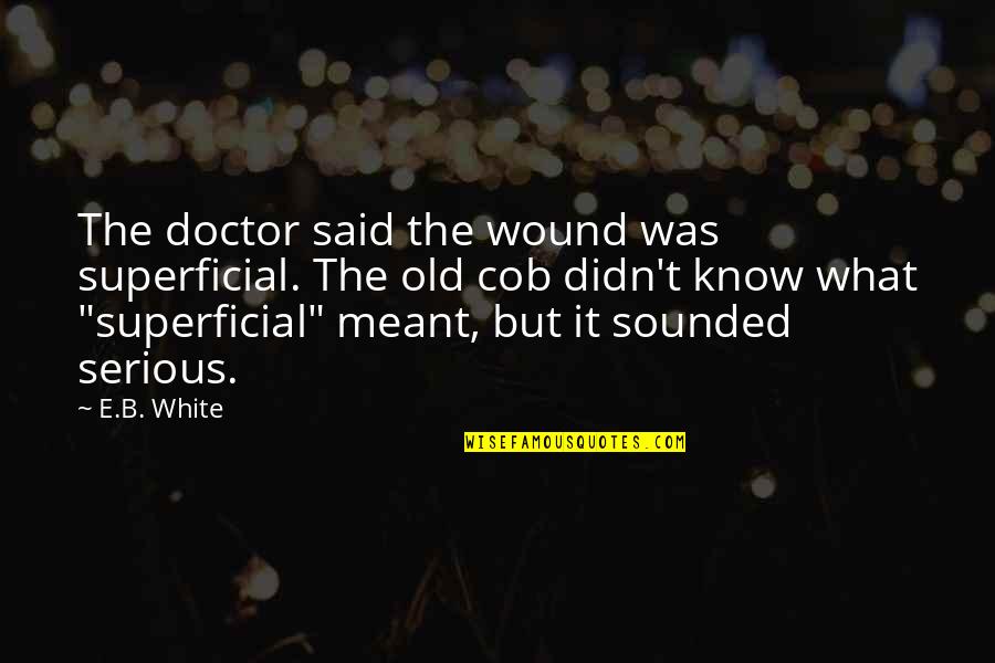 Elko Quotes By E.B. White: The doctor said the wound was superficial. The
