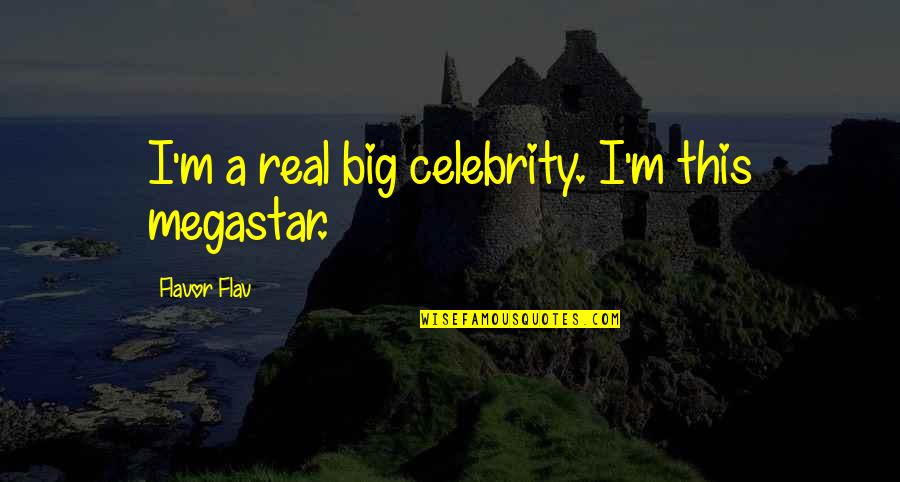 Ella Weaver Wilcox Quotes By Flavor Flav: I'm a real big celebrity. I'm this megastar.