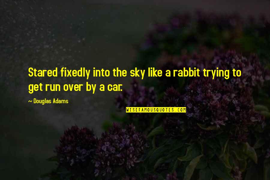 Ellary Detamore Quotes By Douglas Adams: Stared fixedly into the sky like a rabbit