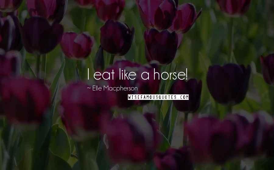 Elle Macpherson quotes: I eat like a horse! Elle Macpherson quotes: I eat like a horse!