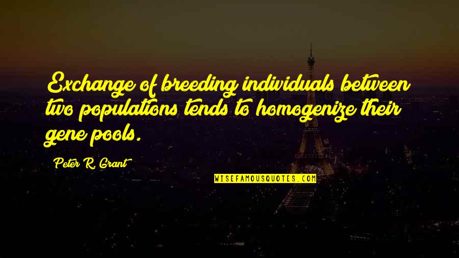 Elleke Haggerty Quotes By Peter R. Grant: Exchange of breeding individuals between two populations tends Elleke Haggerty Quotes By Peter R. Grant: Exchange of breeding individuals between two populations tends