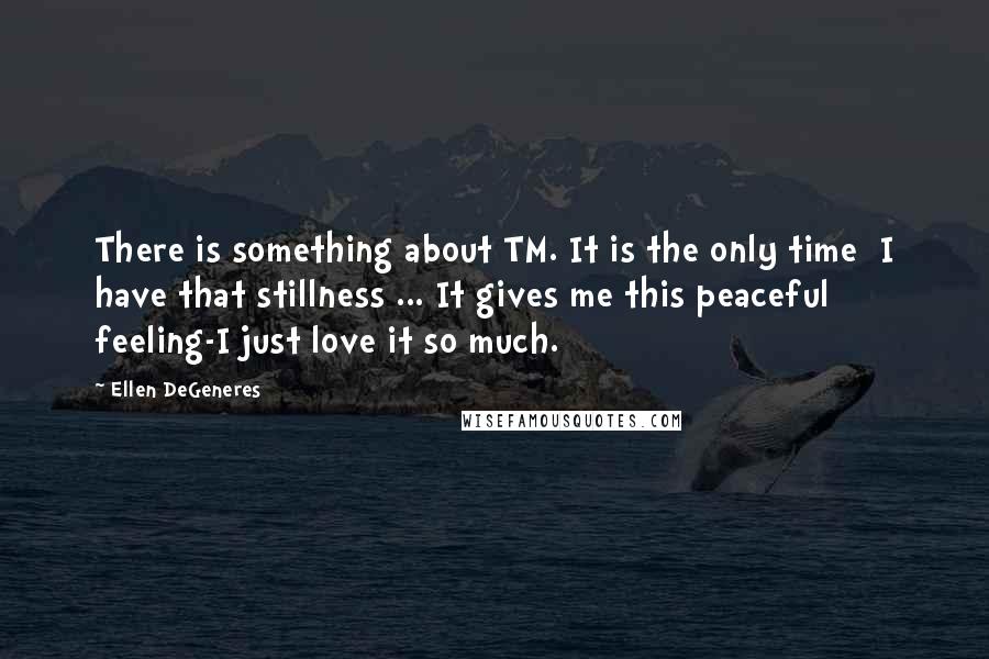 Ellen DeGeneres quotes: There is something about TM. It is the only time I have that stillness ... It gives me this peaceful feeling-I just love it so much.