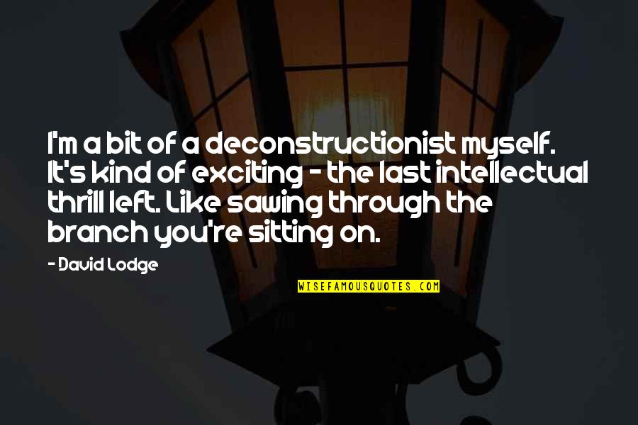 Ellen Gilchrist Quotes By David Lodge: I'm a bit of a deconstructionist myself. It's