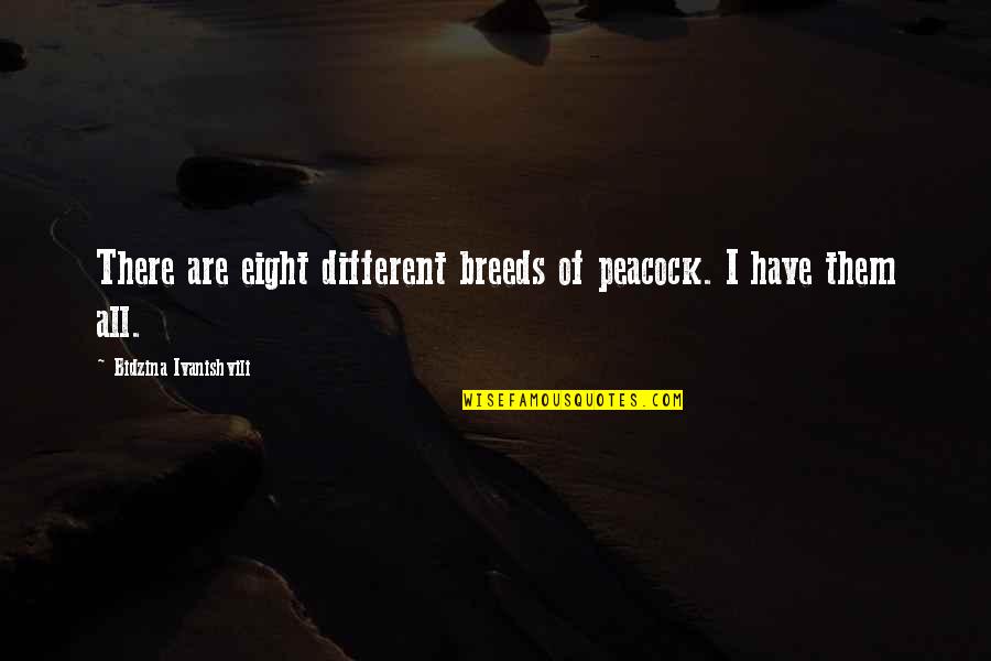 Ellestad Quotes By Bidzina Ivanishvili: There are eight different breeds of peacock. I Ellestad Quotes By Bidzina Ivanishvili: There are eight different breeds of peacock. I