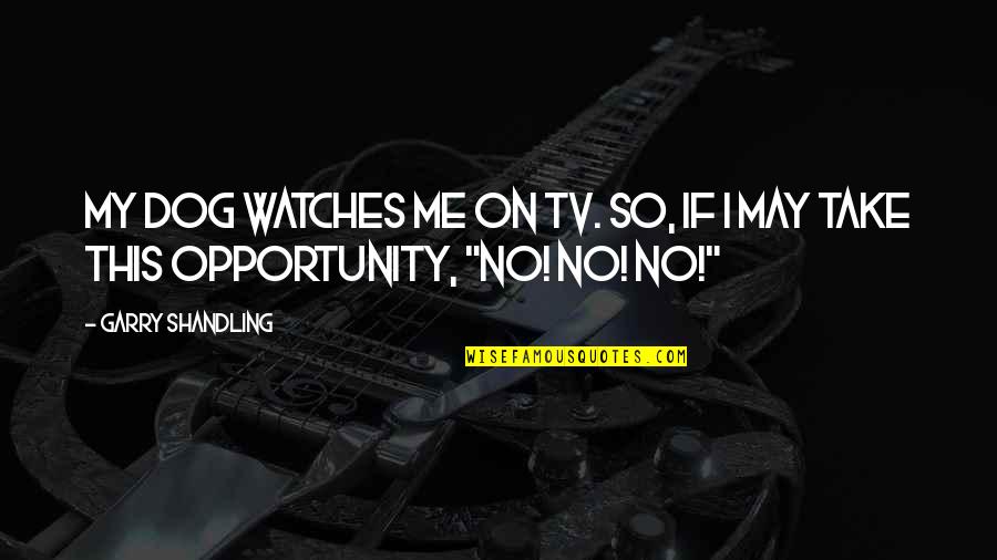 Elleviou Quotes By Garry Shandling: My dog watches me on TV. So, if