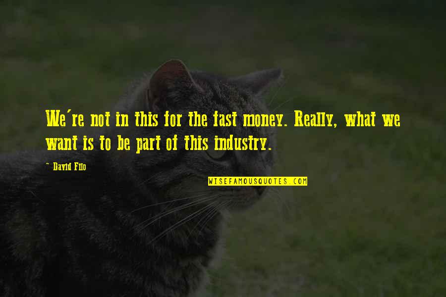 Elleyse Quotes By David Filo: We're not in this for the fast money. Elleyse Quotes By David Filo: We're not in this for the fast money.