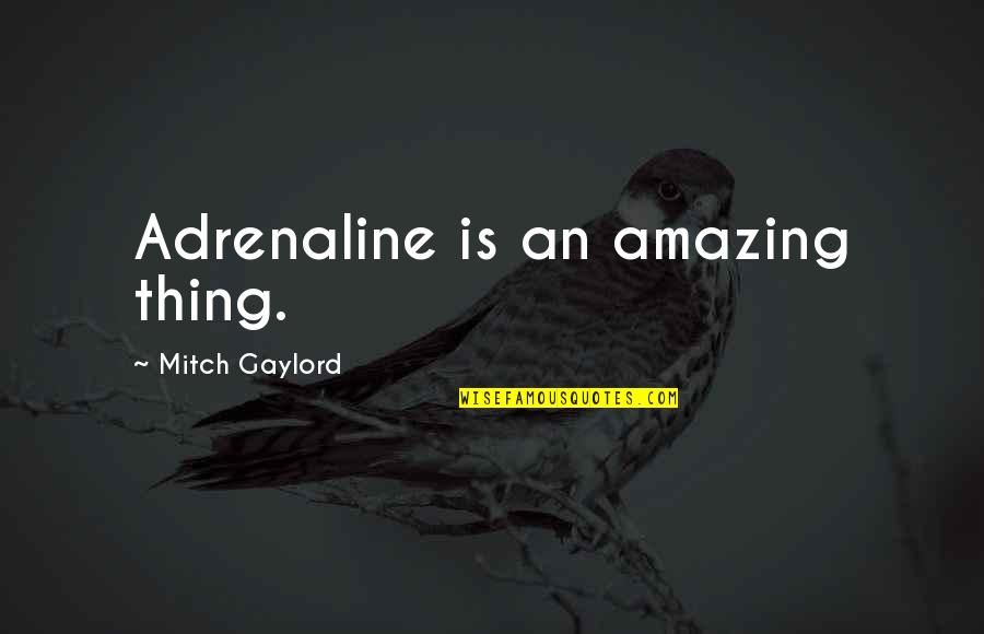 Elline Lipkin Quotes By Mitch Gaylord: Adrenaline is an amazing thing.