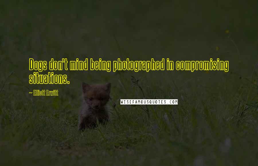 Elliott Erwitt quotes: Dogs don't mind being photographed in compromising situations.