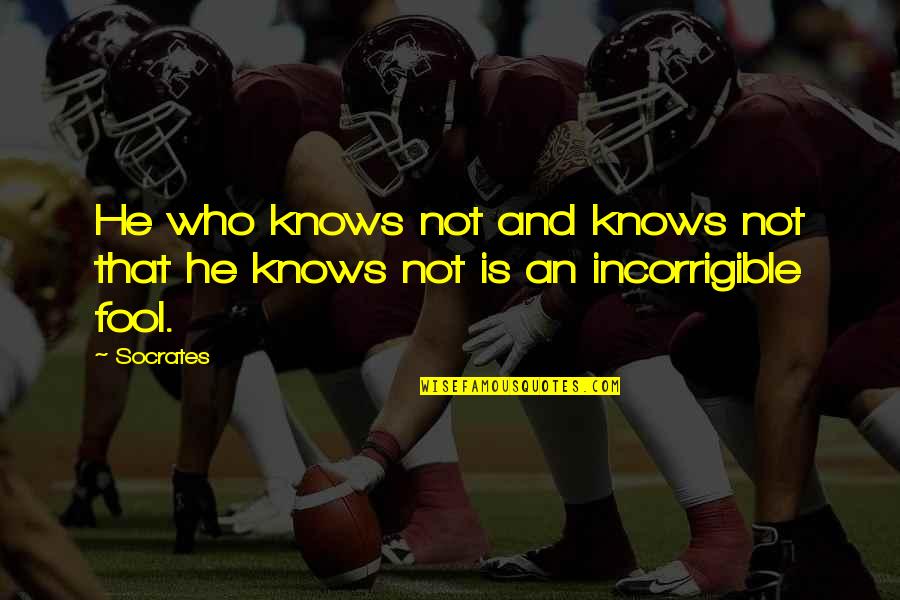 Elliptigo Quotes By Socrates: He who knows not and knows not that