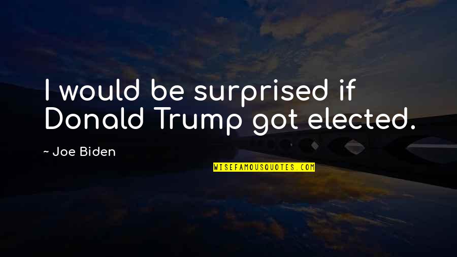 Ellis Island Memorable Quotes By Joe Biden: I would be surprised if Donald Trump got