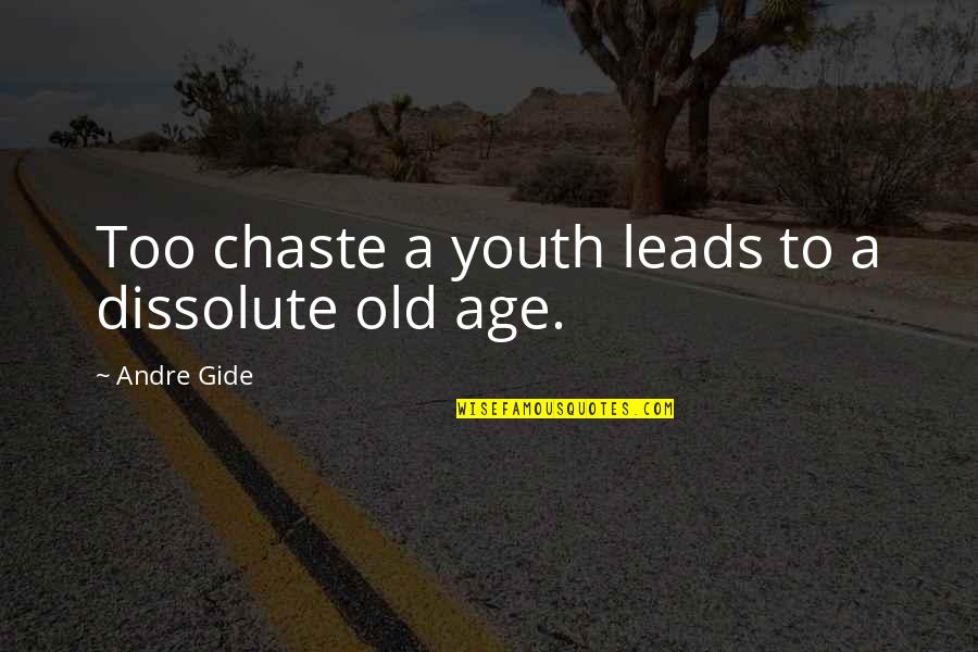 Ellner Consulting Quotes By Andre Gide: Too chaste a youth leads to a dissolute