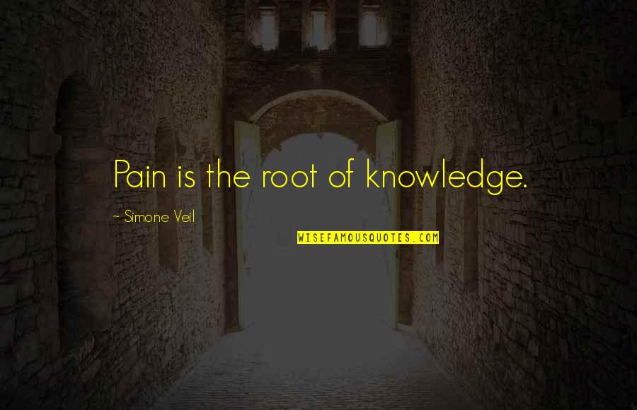 Ellora Cave Art Quotes By Simone Veil: Pain is the root of knowledge.