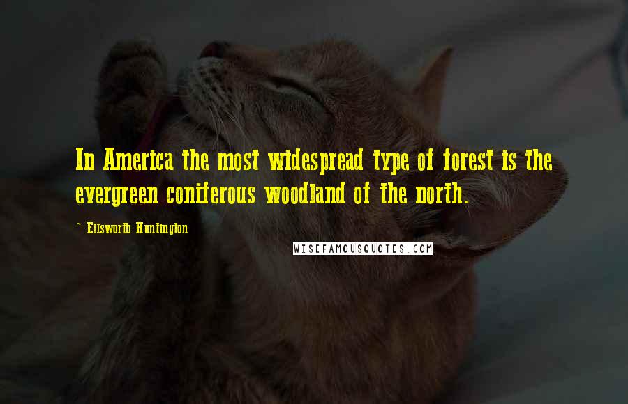 Ellsworth Huntington quotes: In America the most widespread type of forest is the evergreen coniferous woodland of the north.