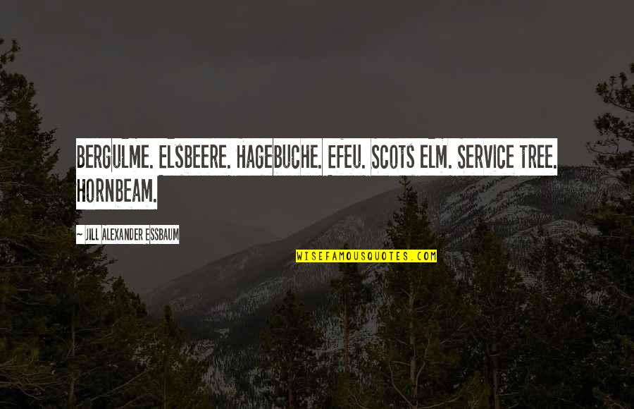 Elm Quotes By Jill Alexander Essbaum: Bergulme. Elsbeere. Hagebuche. Efeu. Scots elm. Service tree.