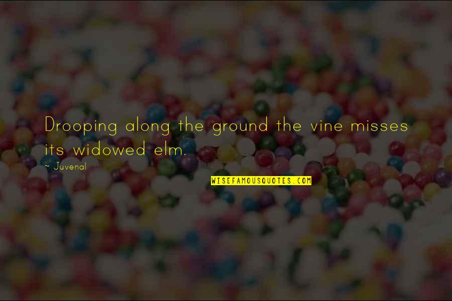Elm Quotes By Juvenal: Drooping along the ground the vine misses its