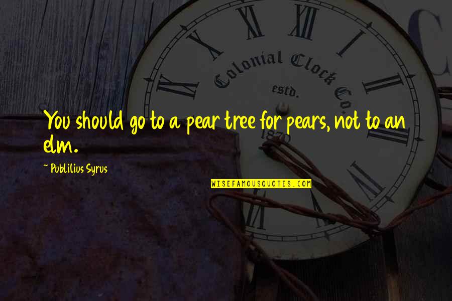 Elm Quotes By Publilius Syrus: You should go to a pear tree for