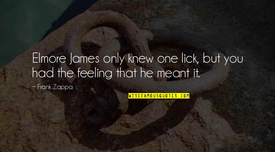 Elmore James Quotes By Frank Zappa: Elmore James only knew one lick, but you
