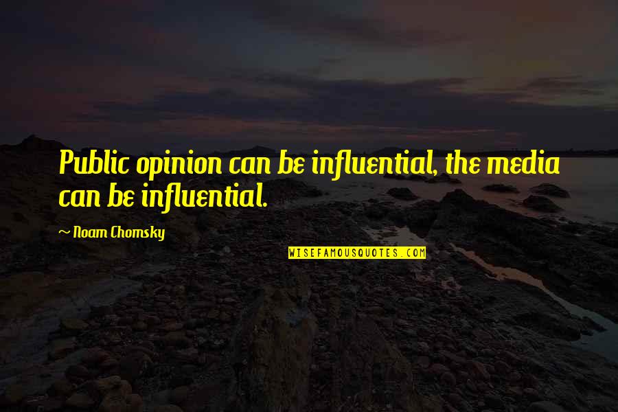 Elmslie Court Quotes By Noam Chomsky: Public opinion can be influential, the media can