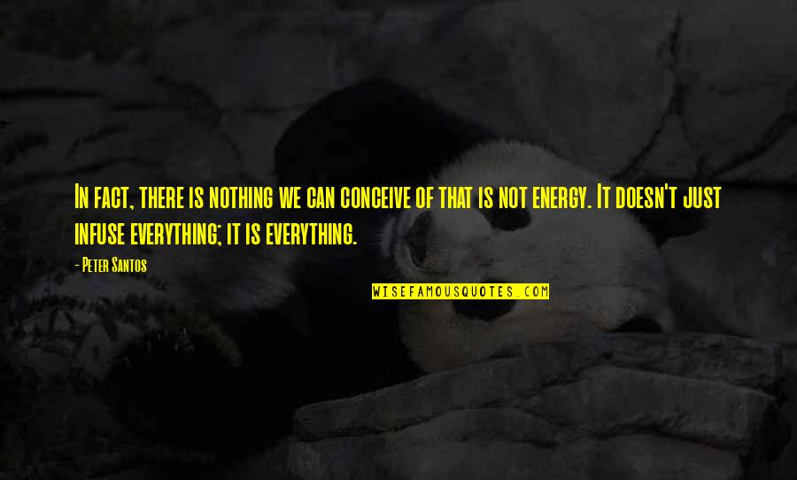 Elocuente Mirada Quotes By Peter Santos: In fact, there is nothing we can conceive