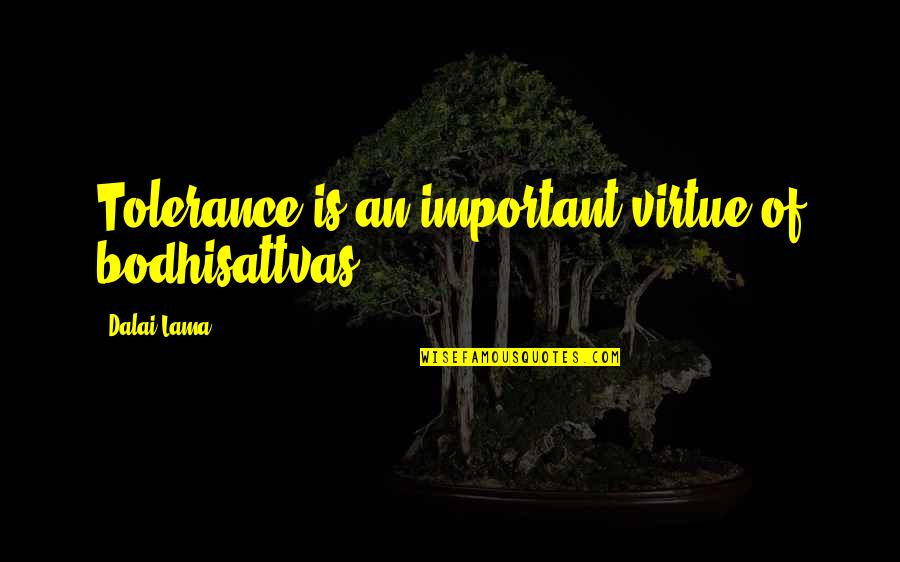 Elocutionary Peculiarities Quotes By Dalai Lama: Tolerance is an important virtue of bodhisattvas . Elocutionary Peculiarities Quotes By Dalai Lama: Tolerance is an important virtue of bodhisattvas .