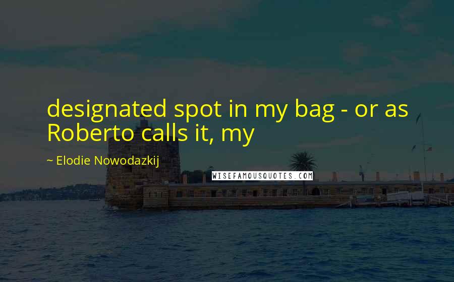 Elodie Nowodazkij quotes: designated spot in my bag - or as Roberto calls it, my