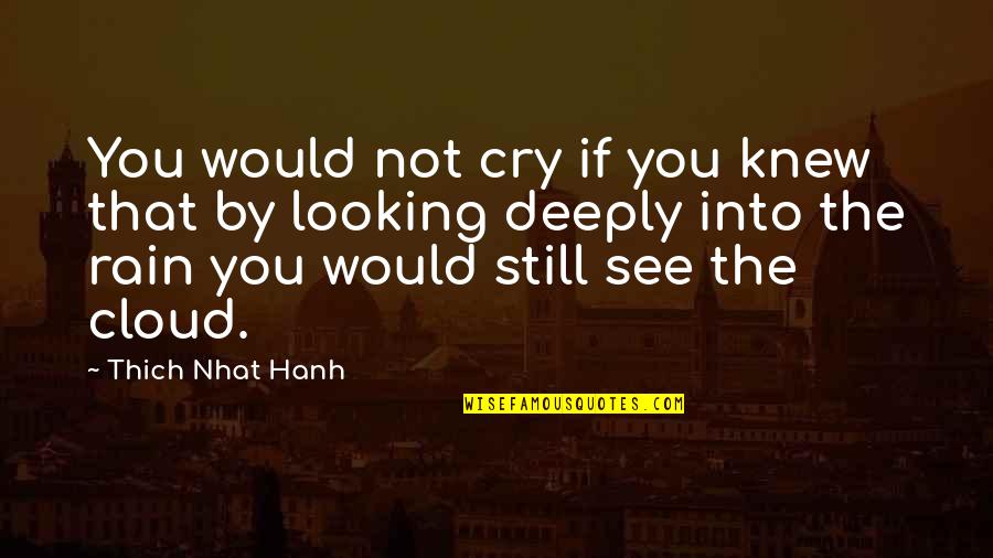 Elody's Quotes By Thich Nhat Hanh: You would not cry if you knew that