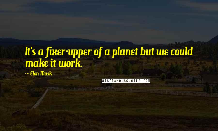 Elon Musk quotes: It's a fixer-upper of a planet but we could make it work.