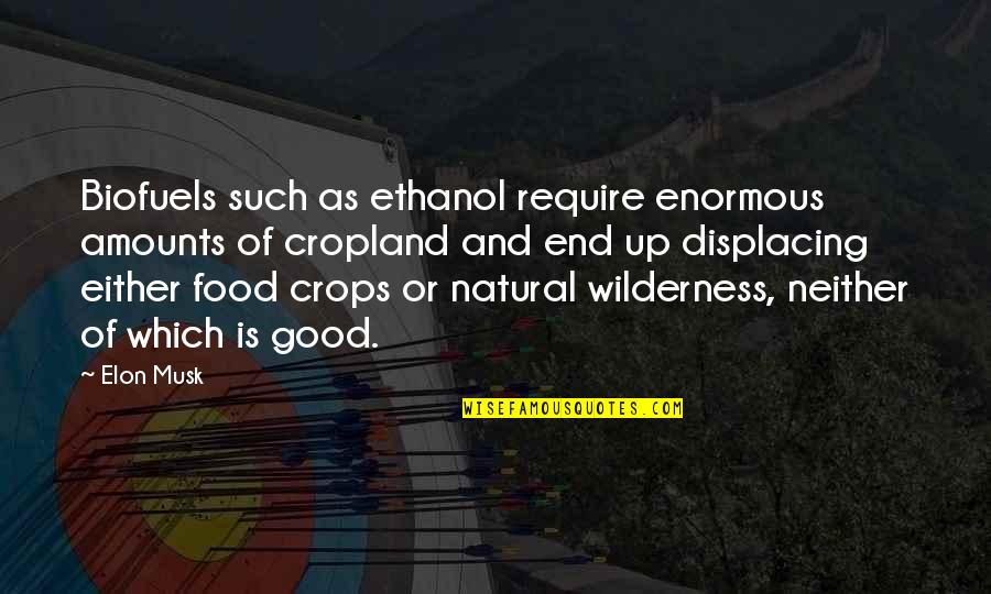 Elon Quotes By Elon Musk: Biofuels such as ethanol require enormous amounts of