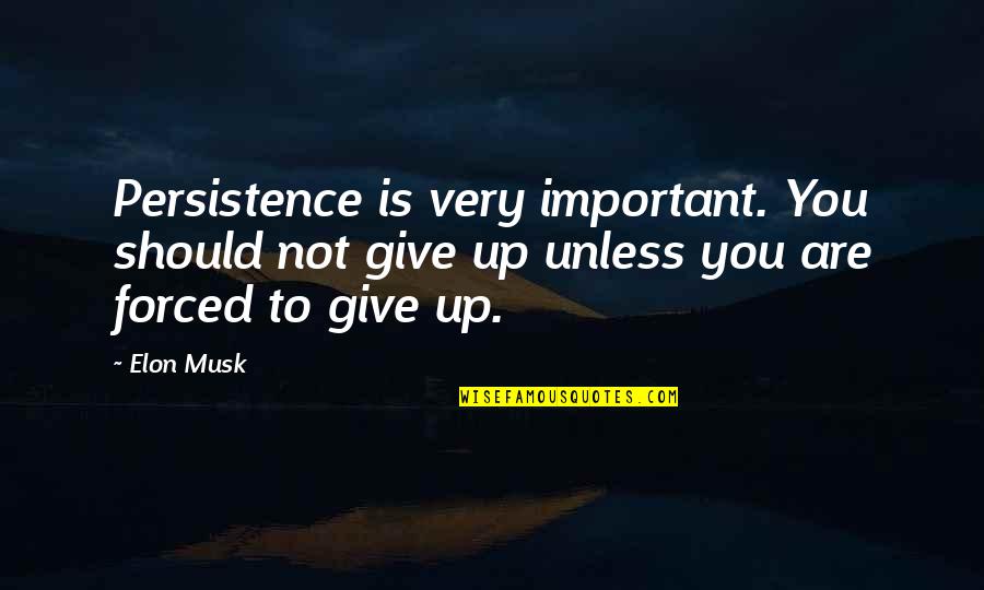 Elon Quotes By Elon Musk: Persistence is very important. You should not give