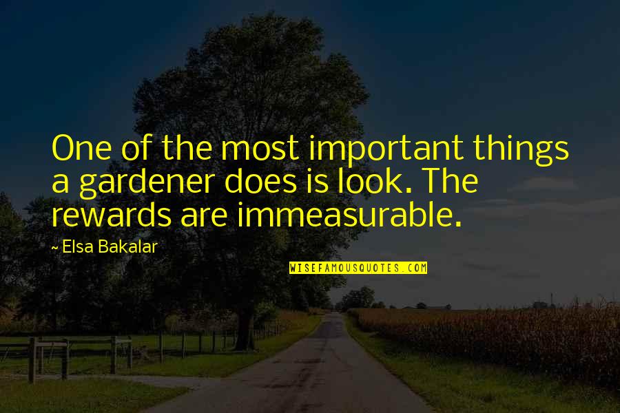 Elsa Quotes By Elsa Bakalar: One of the most important things a gardener