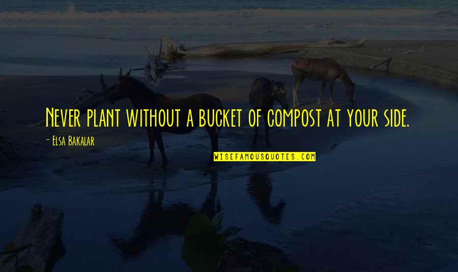 Elsa Quotes By Elsa Bakalar: Never plant without a bucket of compost at